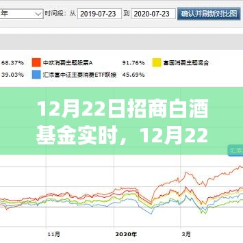 12月22日招商白酒基金實時走勢分析與投資洞察，洞悉白酒行業(yè)最新動態(tài)及投資機會