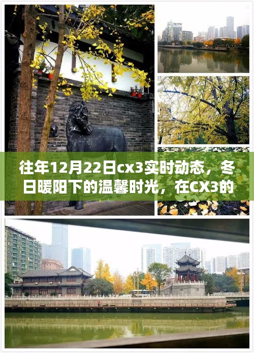 冬日暖陽下的CX3實時動態(tài)，找尋家的溫馨與愛的力量