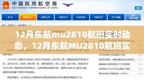 探索航班之旅，揭秘東航MU2810航班實時動態(tài)，航班細節(jié)一網(wǎng)打盡