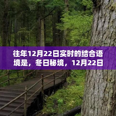 冬日秘境，與自然共舞的日子，12月22日的魔法時刻