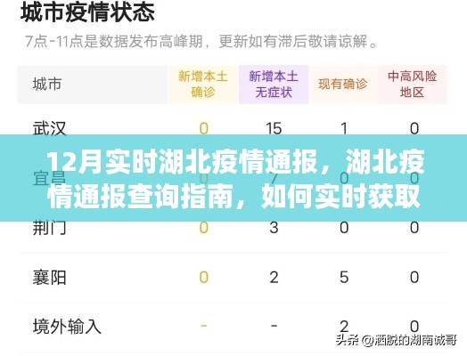 湖北疫情實(shí)時(shí)通報(bào)指南，初學(xué)者與進(jìn)階用戶查詢指南及獲取最新通報(bào)信息的方法