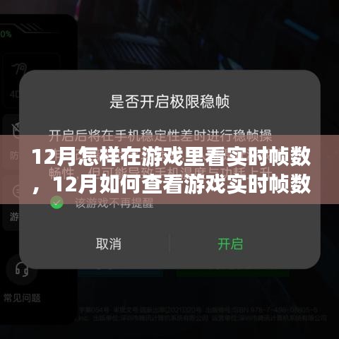詳細步驟指南，如何查看游戲實時幀數（適用于十二月）