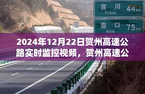 初學(xué)者指南