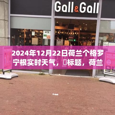 荷蘭格羅寧根實(shí)時(shí)天氣探索，追尋自然美景與心靈寧?kù)o的奇妙之旅（2024年12月22日）
