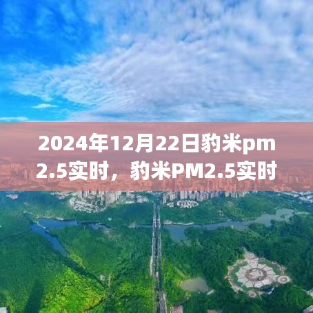 豹米PM2.5實(shí)時(shí)監(jiān)測(cè)深度分析與觀(guān)點(diǎn)闡述——實(shí)時(shí)數(shù)據(jù)解讀與趨勢(shì)預(yù)測(cè)（2024年12月22日）