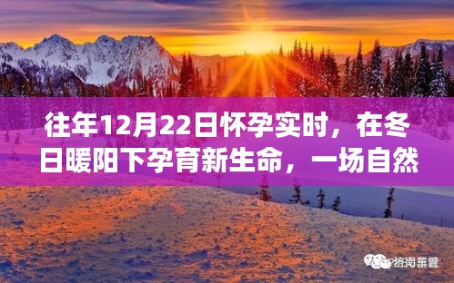 冬日暖陽下的孕育之旅，自然美景探索與孕育新生命紀實