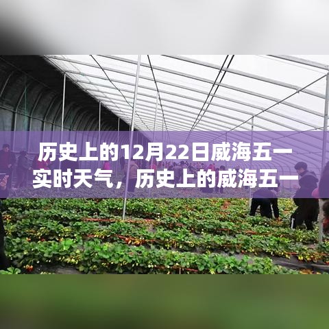 揭秘威海氣象變遷，歷史上的十二月二十二日實(shí)時(shí)天氣回顧與展望五一威海天氣變遷史