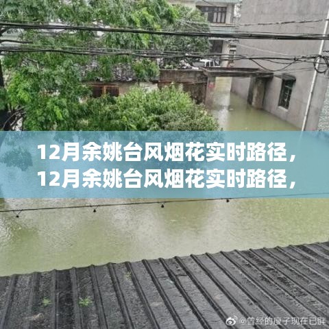 深度解析與前沿觀察，12月余姚臺風(fēng)煙花實時路徑追蹤