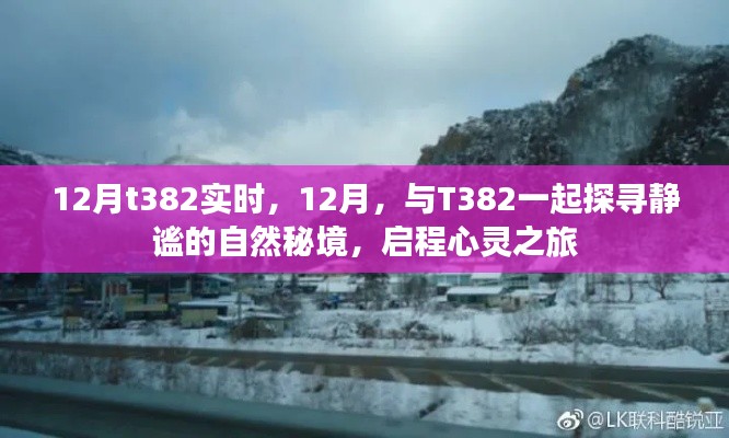 12月與T382共赴靜謐秘境的心靈之旅