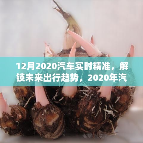 躡蹻檐簦 第3頁(yè)