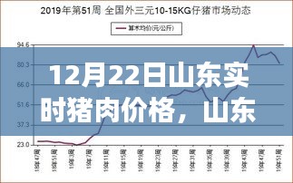 山東豬肉價(jià)格動(dòng)態(tài)，聚焦12月22日市場(chǎng)走勢(shì)分析