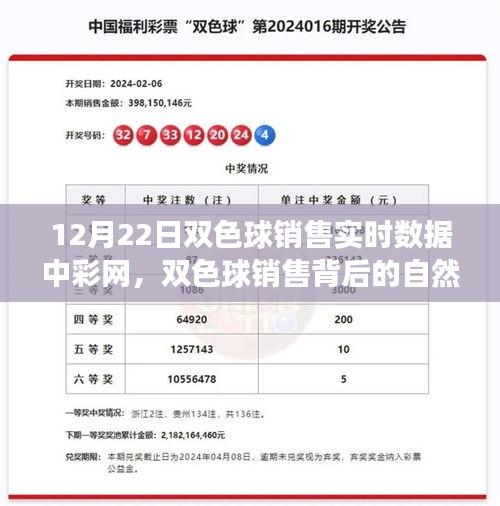 實時數(shù)據(jù)解析