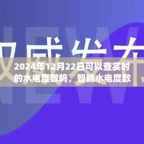 智能水電度數(shù)實(shí)時(shí)監(jiān)測(cè)體驗(yàn)報(bào)告，2024年12月22日實(shí)時(shí)水電度數(shù)查詢體驗(yàn)