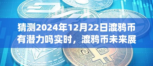 深度解析