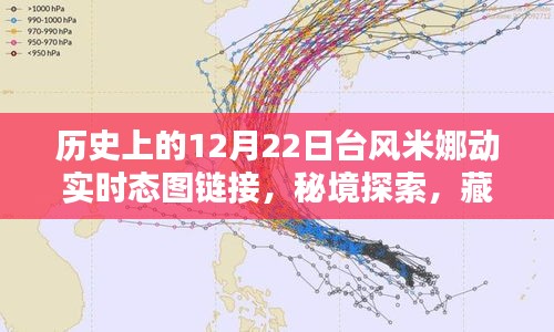 臺風米娜動態(tài)追蹤與秘境探索，巷陌特色小店奇妙邂逅