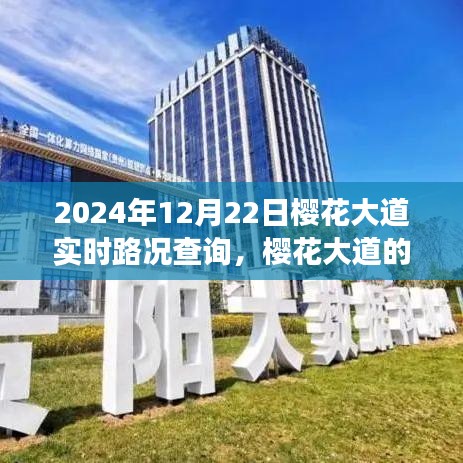 櫻花大道實(shí)時(shí)路況背后的暖心故事，奇妙的一天