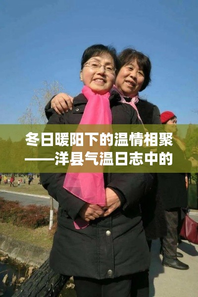 冬日暖陽(yáng)下的溫情相聚——洋縣氣溫日志中的歡樂聚會(huì)時(shí)光