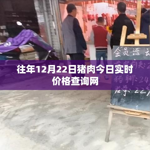 最新豬肉實時價格查詢網(wǎng)，今日更新
