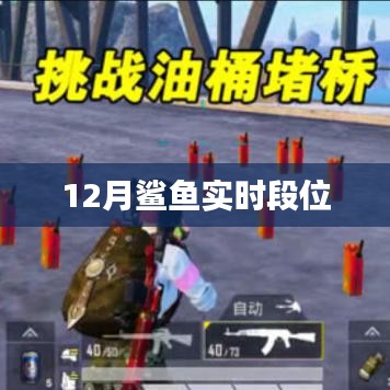 鯊魚實(shí)時段位更新，揭秘12月排行榜，符合字?jǐn)?shù)要求，簡潔明了，能夠準(zhǔn)確概括您提供的內(nèi)容，有利于在百度上被用戶搜索到。