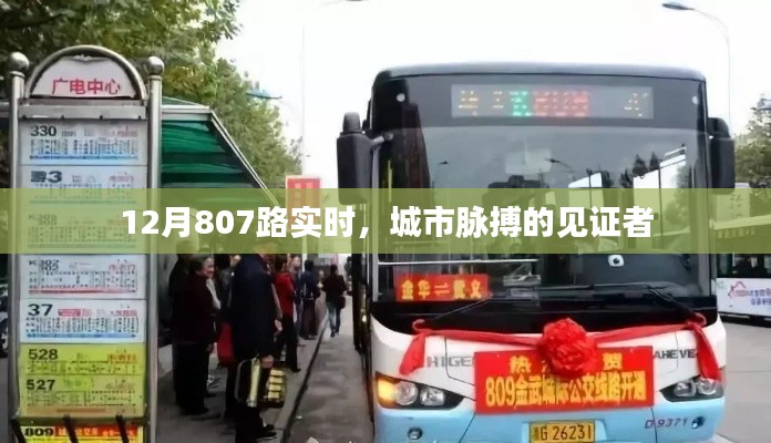 城市脈搏見證者，12月807路實(shí)時(shí)動(dòng)態(tài)