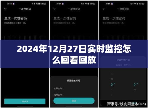 2024年12月27日實(shí)時(shí)監(jiān)控回放查看指南