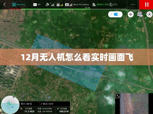 無人機(jī)實(shí)時(shí)畫面飛行觀看攻略