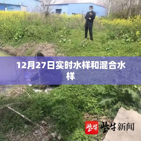 12月27日實(shí)時(shí)與混合水樣檢測分析
