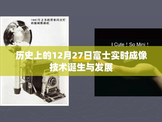 輕徙鳥(niǎo)舉 第3頁(yè)