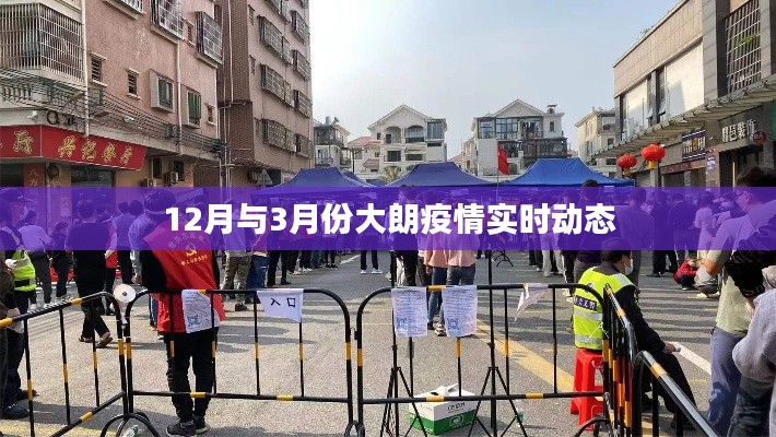 大朗疫情實(shí)時(shí)動態(tài)，12月與3月份最新情況