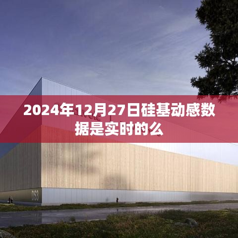 硅基動(dòng)感數(shù)據(jù)實(shí)時(shí)性探討，2024年12月27日數(shù)據(jù)準(zhǔn)確性分析