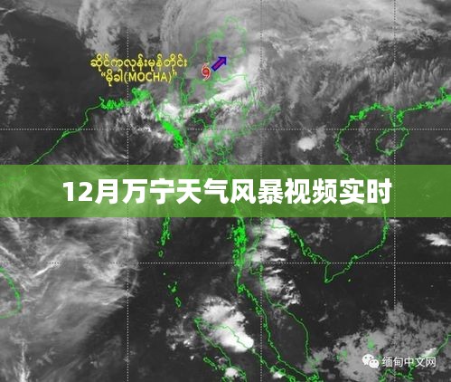 萬(wàn)寧風(fēng)暴來(lái)襲，最新天氣實(shí)時(shí)視頻