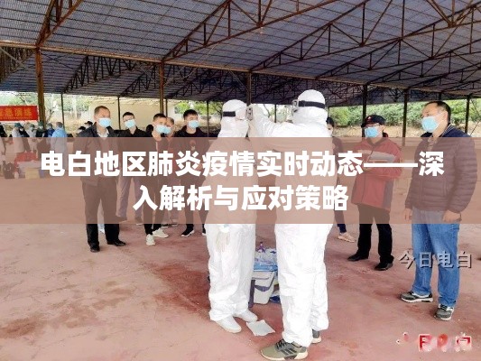 電白地區(qū)肺炎疫情最新動態(tài)，解析與應對策略