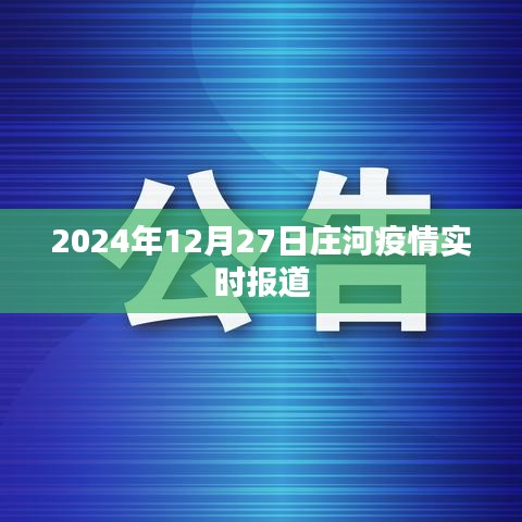 莊河疫情最新實時報道（XXXX年XX月XX日更新）