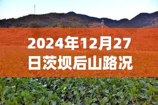 茨壩后山路況實(shí)時(shí)更新，查詢表及指南