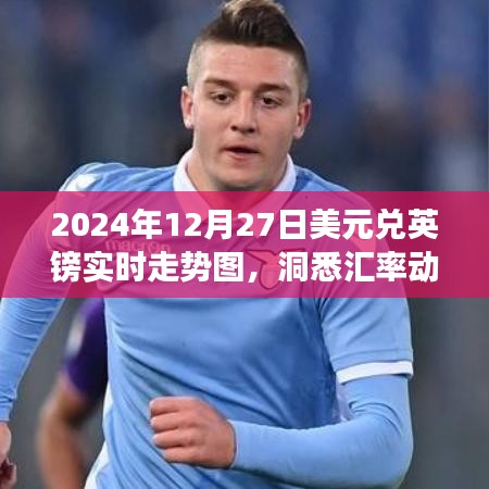 2024年美元兌英鎊匯率走勢圖，洞悉市場趨勢