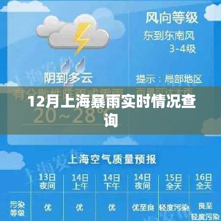 上海暴雨實(shí)時(shí)更新，最新天氣動態(tài)查詢