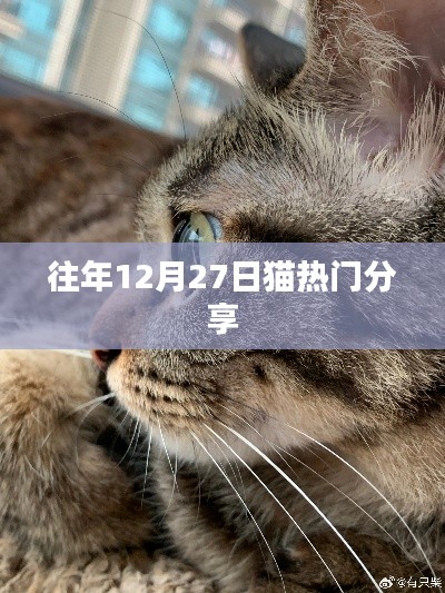 貓熱門分享回顧，歷年12月27日精彩瞬間