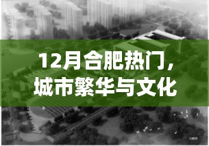 合肥12月熱門活動，城市交響與文化繁榮