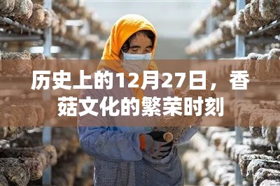 雍容雅步 第4頁(yè)