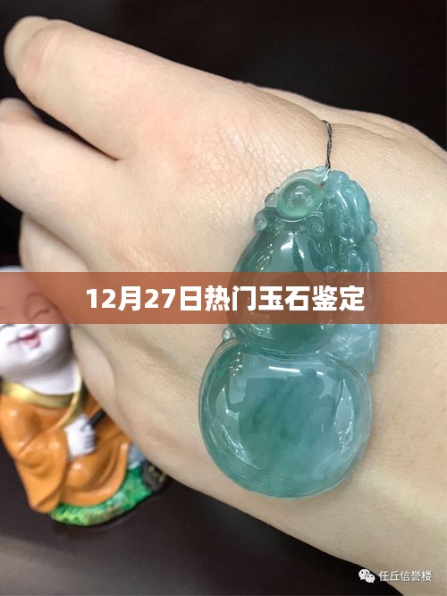 玉石鑒定熱點解析，12月27日最新資訊