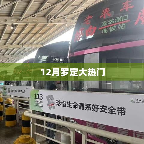 飛蝗蕪湖 第3頁(yè)