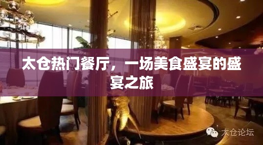 太倉美食盛宴，熱門餐廳探秘之旅
