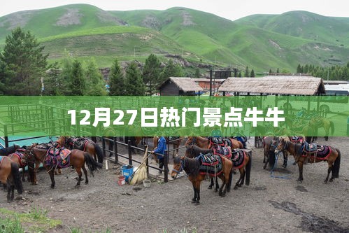 12月27日熱門景點探訪，牛牛之旅