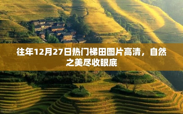 銷聲匿跡 第4頁
