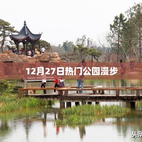 12月27日公園漫步，盡享自然之美