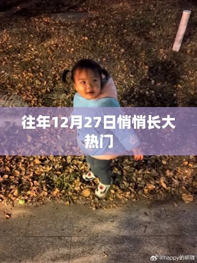 年終倒數(shù)時(shí)刻，揭秘十二月二十七日的熱門秘密