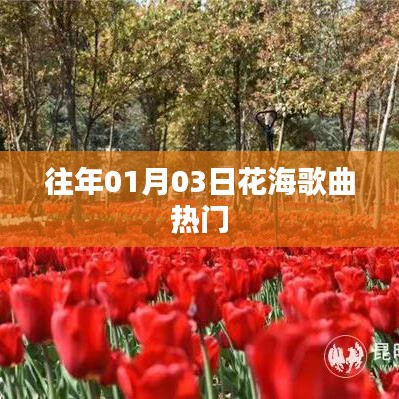 『花海歌曲熱爆，歷年一月初最受歡迎的旋律』