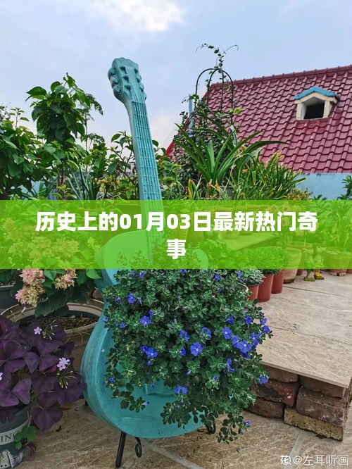 歷史奇聞揭秘，一月三日最新熱門事件回顧