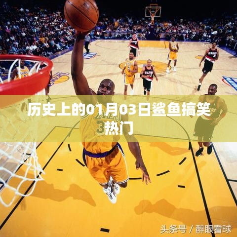 歷史上的鯊魚搞笑瞬間，一月三日歡樂回顧