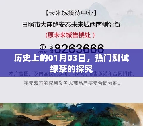 綠茶測(cè)試深度探究，歷史背景與熱門(mén)測(cè)試